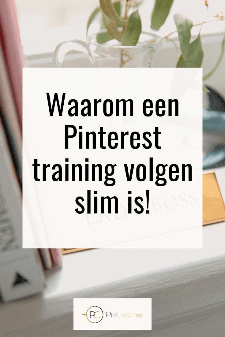 Waarom een pinterest training volgen een slim idee is? Ik geef je de redenen Waarom een pinterest training volgen?
